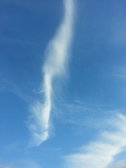 20160611_203151_resized