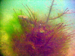 PICT0252