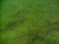 PICT0254